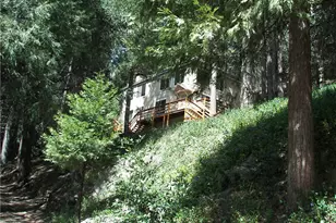 21636 Sawpit Canyon, Cedarpines Park, CA 92322 - Photo 47