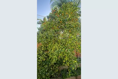 4132 Crooked Stick, Corona, CA 92883 - Photo 21