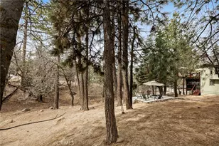 32425 Snowshoe, Running Springs, CA 92382 - Photo 39