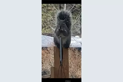 41922 Centre Court, Big Bear Lake, CA 92315 - Photo 23