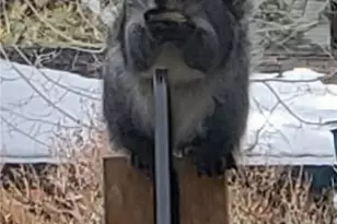 41922 Centre Ct, Big Bear Lake, CA 92315 - Photo 23