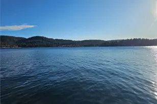 295 Dock N 295 B, Lake Arrowhead, CA 92352 - Photo 27