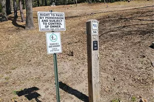 295 Dock N 295 B, Lake Arrowhead, CA 92352 - Photo 29