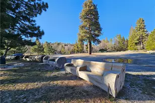 295 Dock N 295 B, Lake Arrowhead, CA 92352 - Photo 29