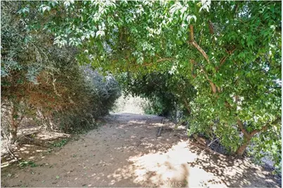 1804 Valle Vista, Redlands, CA 92373 - Photo 17