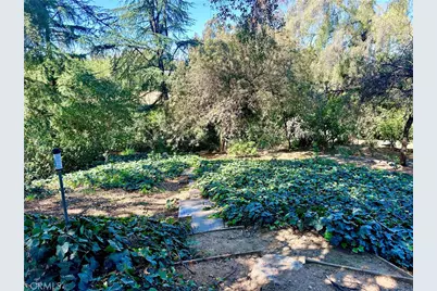 1804 Valle Vista, Redlands, CA 92373 - Photo 65