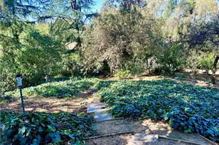 1804 Valle Vista, Redlands, CA 92373 - Photo 65