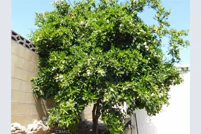 2200 W Wilson #82, Banning, CA 92220 - Photo 47