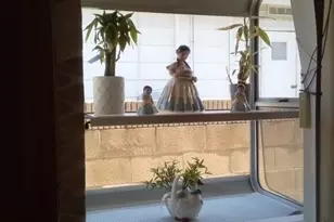 11742 Terradell, Santa Fe Springs, CA 90670 - Photo 11