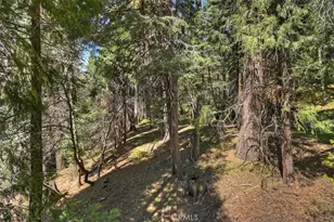 28730 Potomac, Lake Arrowhead, CA 92352 - Photo 43