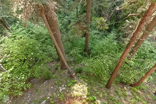 576 Kuffel Canyon, Lake Arrowhead, CA 92352 - Photo 35