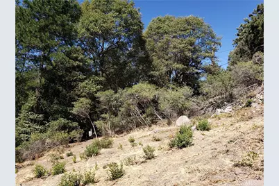 25134 Grandview Drive, Crestline, CA 92325 - Photo 11