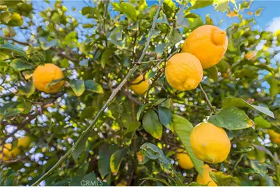 750 N Del Norte Avenue, Ontario, CA 91764 - Photo 31