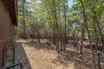 790 Pine Lane, Sugarloaf, CA 92386 - Photo 9
