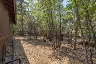 790 Pine Ln, Sugarloaf, CA 92386 - Photo 9