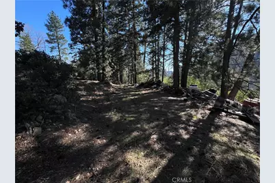 0 Ca-38, Angeles Oaks, CA 92305 - Photo 15