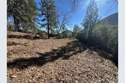 0 Ca-38, Angeles Oaks, CA 92305 - Photo 11