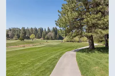 0 Grass Valley, Twin Peaks, CA 92391 - Photo 17