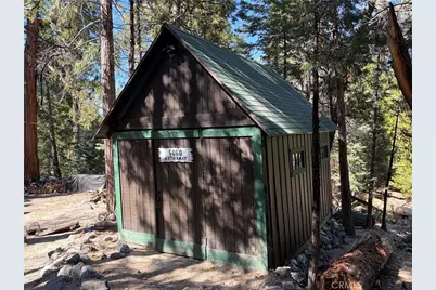 120 Barton Flats, Angeles Oaks, CA 92305 - Photo 5