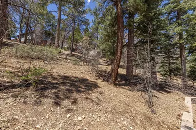 1639 Columbine, Big Bear City, CA 92314 - Photo 45