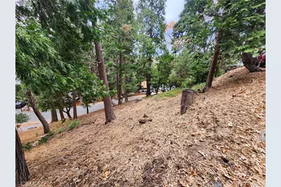 24397 Horst Drive, Crestline, CA 92325 - Photo 13