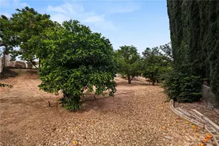 30587 Los Altos, Redlands, CA 92373 - Photo 33