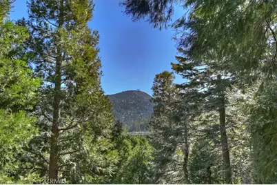 24607 Altdorf Drive, Crestline, CA 92325 - Photo 33