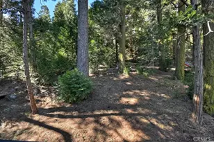 24607 Altdorf Dr, Crestline, CA 92325 - Photo 35