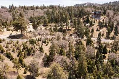 226 Hidden Forest Road, Lake Arrowhead, CA 92352 - Photo 9
