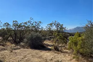 36650 Bautista Rd, Anza, CA 92539 - Photo 7