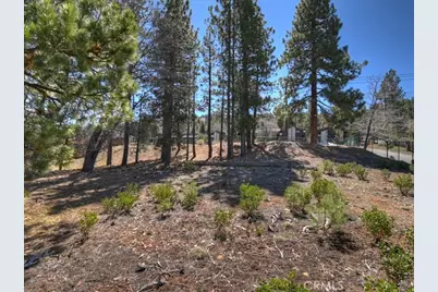 41711 Swizterland, Big Bear Lake, CA 92315 - Photo 11