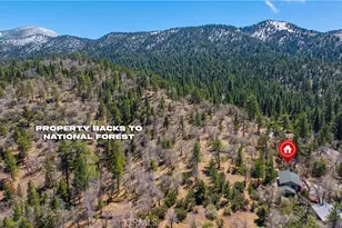 43656 Ridge Crest, Big Bear Lake, CA 92315 - Photo 41