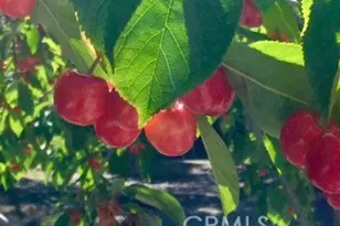 197 Massive Rd, Lake Arrowhead, CA 92317 - Photo 61