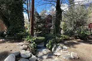 9120 Torrey Pines, Forest Falls, CA 92339 - Photo 27