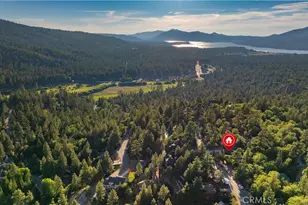 1270 Sheephorn Rd, Big Bear City, CA 92314 - Photo 3