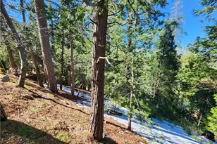 26236 Boulder Ln, Twin Peaks, CA 92391 - Photo 1