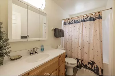 143 Santa Barbara, Sugarloaf, CA 92386 - Photo 13