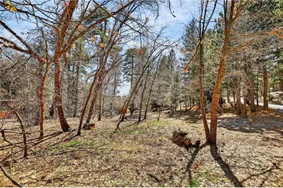 0 Cepu Road, Running Springs, CA 92382 - Photo 19