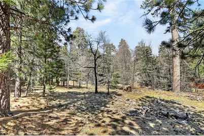 0 Cepu Road, Running Springs, CA 92382 - Photo 13