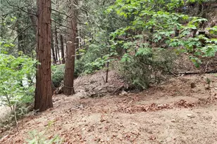 1023 Mercury, Crestline, CA 92325 - Photo 13