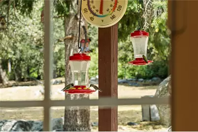 39804 Pine Bench, Yucaipa, CA 92399 - Photo 9