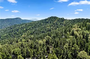 23746 Crest Forest, Crestline, CA 92325 - Photo 35