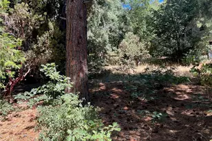 6020 Lake, Angeles Oaks, CA 92305 - Photo 23