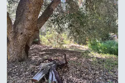 6020 Lake, Angeles Oaks, CA 92305 - Photo 25