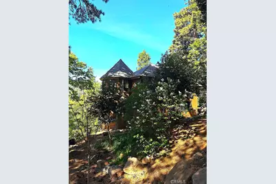 21425 Sawpit Canyon Road, Cedarpines Park, CA 92322 - Photo 45