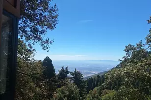 21425 Sawpit Canyon Rd, Cedarpines Park, CA 92322 - Photo 63
