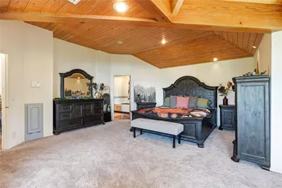 21425 Sawpit Canyon Road, Cedarpines Park, CA 92322 - Photo 3