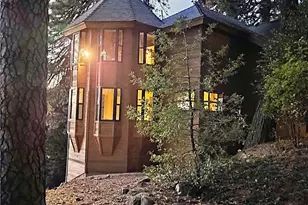 21425 Sawpit Canyon Rd, Cedarpines Park, CA 92322 - Photo 1