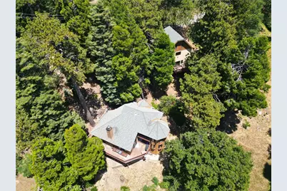 21425 Sawpit Canyon Road, Cedarpines Park, CA 92322 - Photo 3
