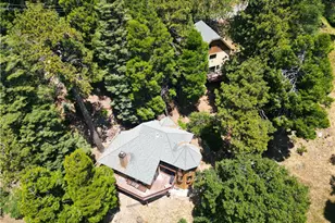21425 Sawpit Canyon Rd, Cedarpines Park, CA 92322 - Photo 3